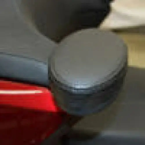 2018 Goldwing Passenger Armrests