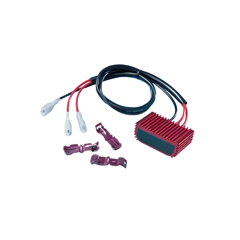 Dual Load Equalizer for LED Turn Signals – Compatible with Honda Goldwing GL1800