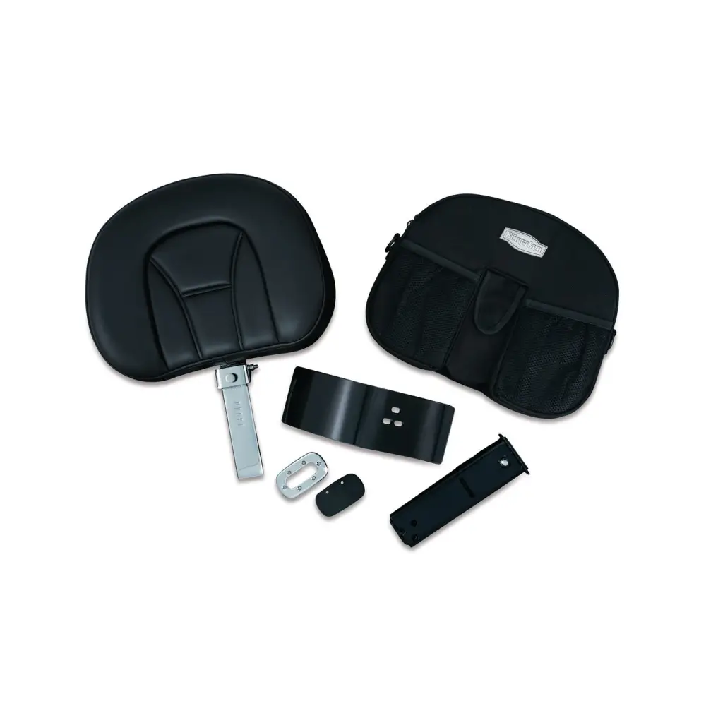 Goldwing Plug-N-Go Drivers Backrest