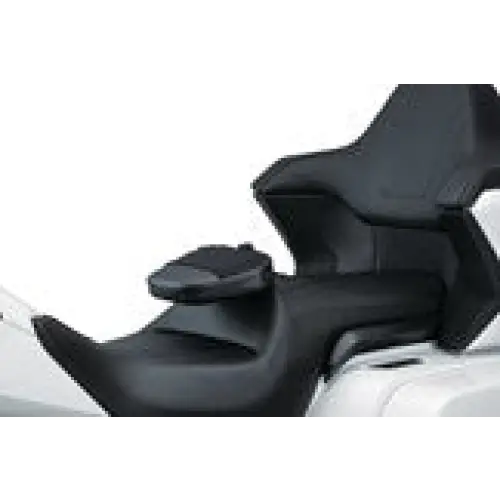 2018-2025 Honda Goldwing GL1800 Omni Driver Backrest