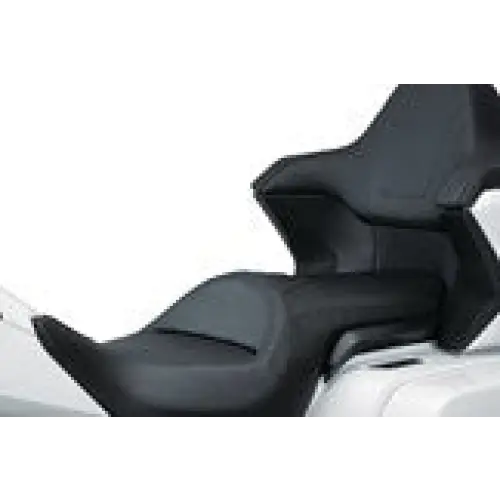 2018-2025 Honda Goldwing GL1800 Omni Driver Backrest