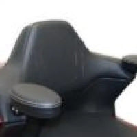 2018 Goldwing Passenger Armrests