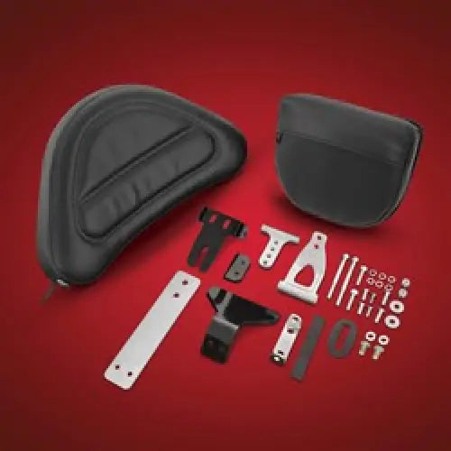 GL1500 Smart Mount Backrest