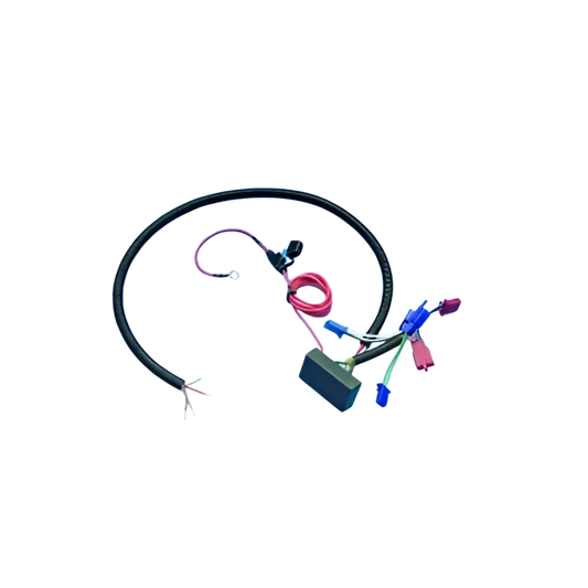 GL1800 01-10 Trailer Wire Harness