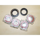 GL1800 Front Wheel Bearing and Seal Kit