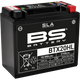 Goldwing BS Battery