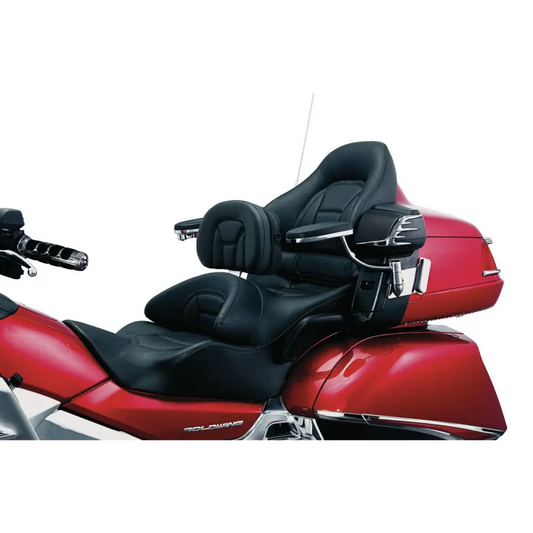 Goldwing Plug-N-Go Drivers Backrest