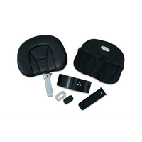 Goldwing Plug-N-Go Drivers Backrest