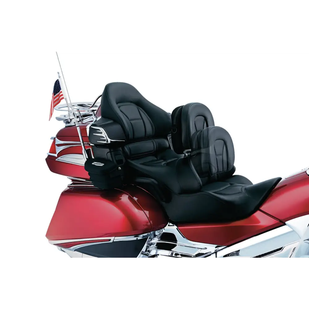 Goldwing Plug-N-Go Drivers Backrest