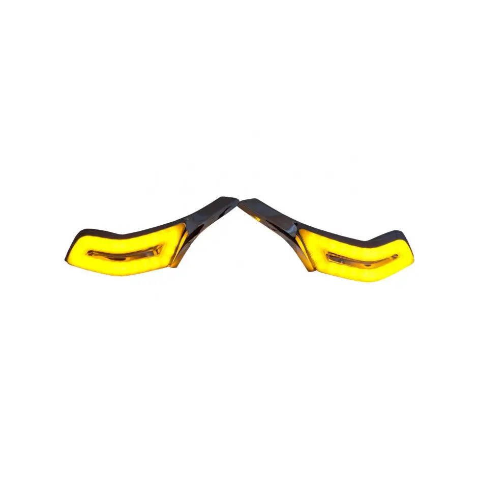 Sentinel LED Passenger Armrest Lights.