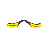 Sentinel LED Passenger Armrest Lights.